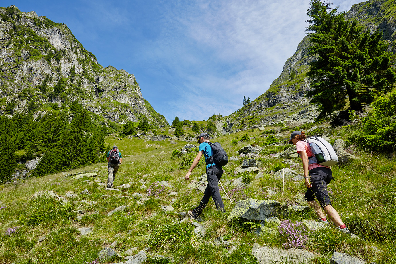 Hiking